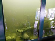 Výlet do ZOO Chleby a Labyrintária Loučeň